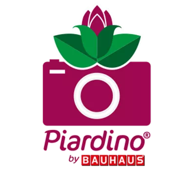 Zucchini – der besondere Kürbis Zucchini – der besondere Kürbis